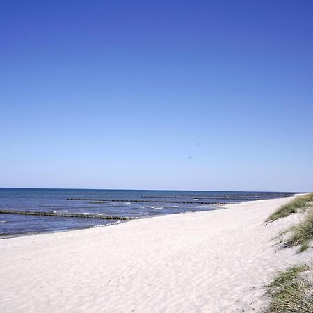 Achtern Diek 8A - Wohnung 5 Zingst Buitenkant foto