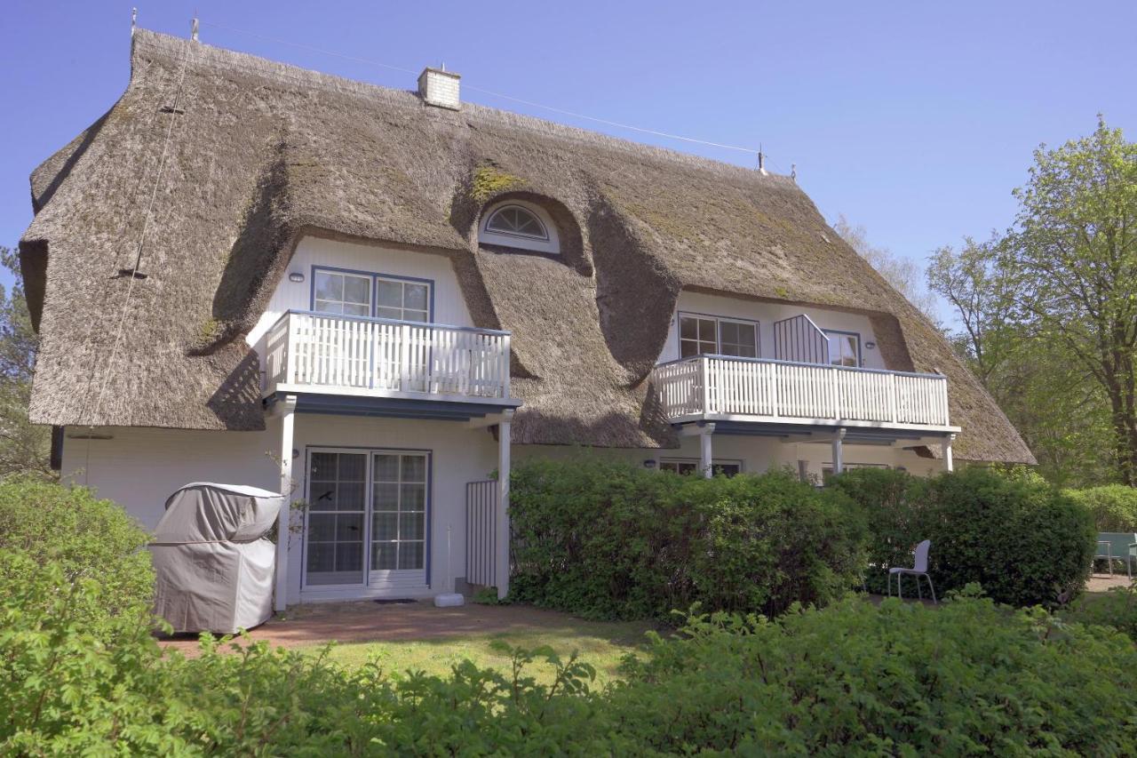 Achtern Diek 8A - Wohnung 5 Zingst Buitenkant foto
