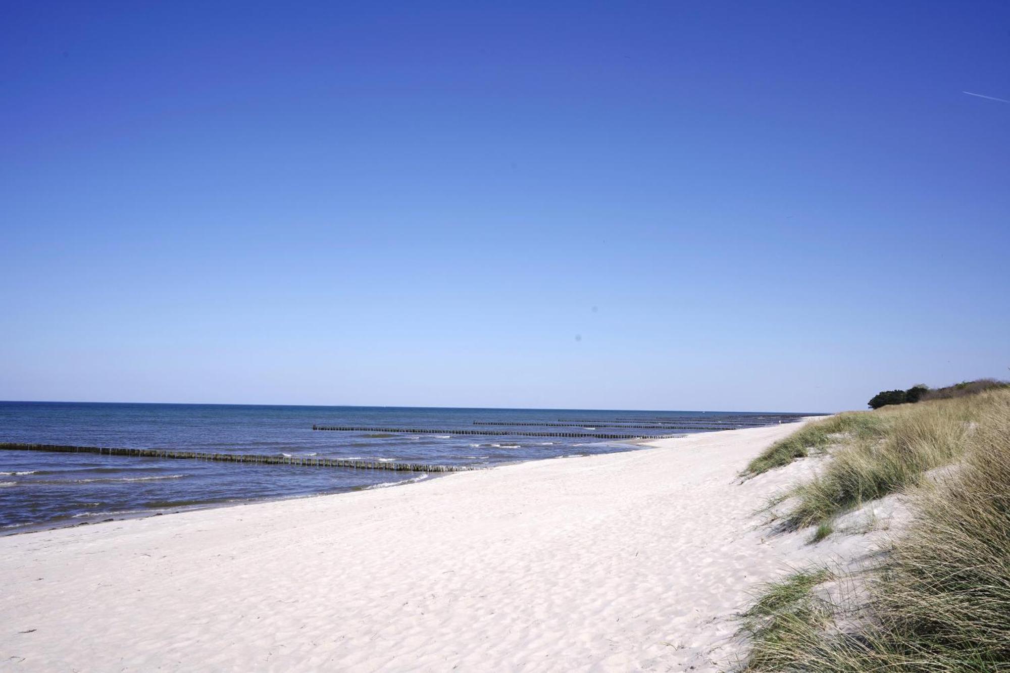 Achtern Diek 8A - Wohnung 5 Zingst Buitenkant foto
