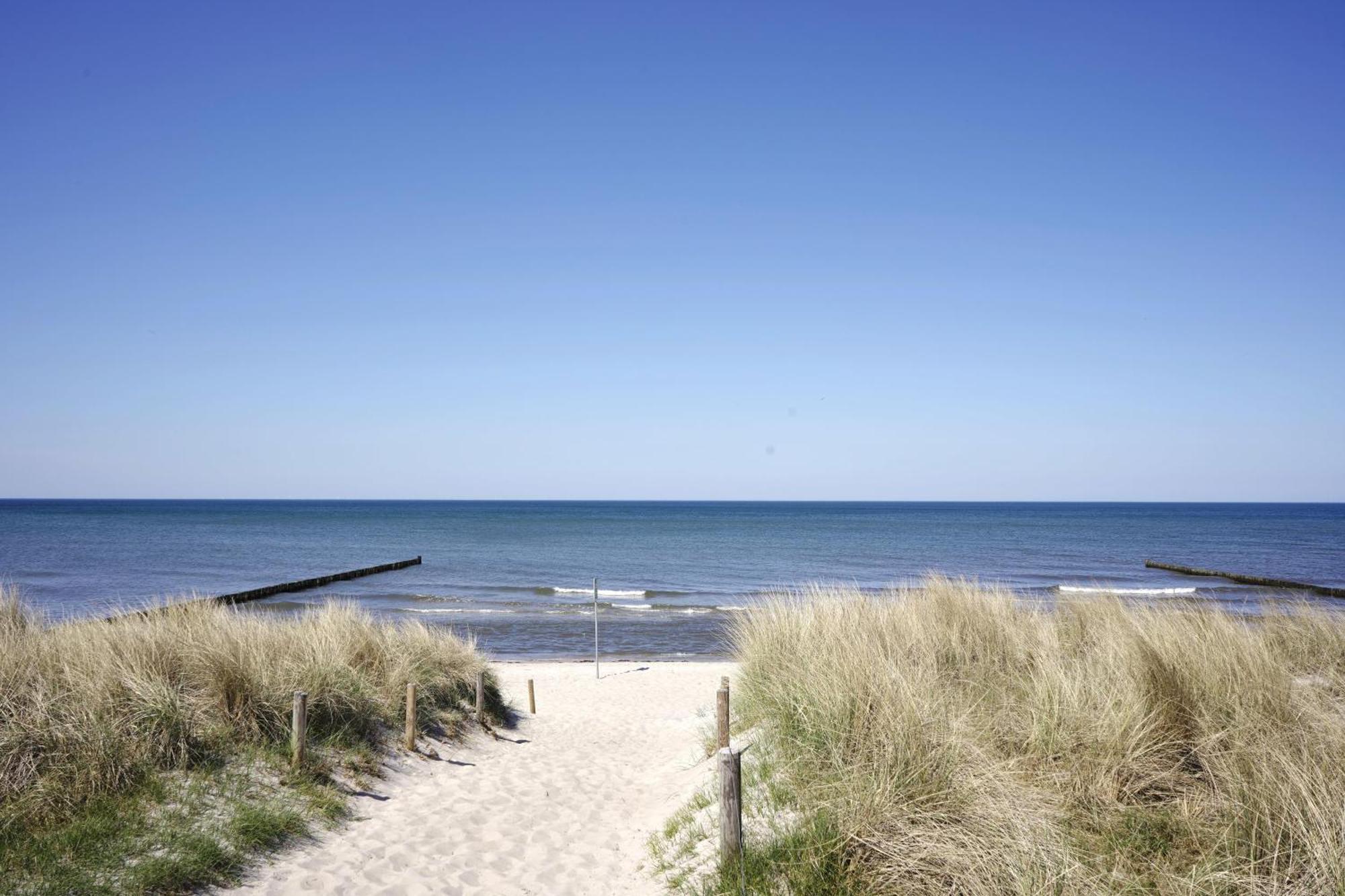 Achtern Diek 8A - Wohnung 5 Zingst Buitenkant foto